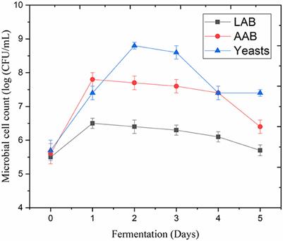 Preparation of lentil and quinoa protein complexes through protein–protein interactions and water kefir–assisted fermentation to improve protein quality and functionality